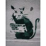 Wee Blue Coo Banksy Mediocrity Killed The Rat Graf