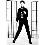 Wee Blue Coo Muzyka zdjęcie Elvis Presley Jailhous
