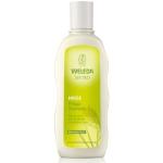 Weleda Hirse Pflege-Shampoo szampon do włosów 190 ml