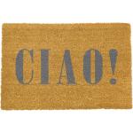 Wycieraczka Artsy Doormats Ciao Grey, 40x60 cm