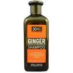 Xpel (Ginger Shampoo) 400 ml
