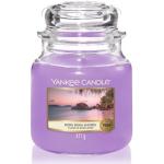 Yankee Candle Bora Bora Shores Housewarmer świeca zapachowa 411 g