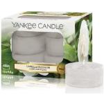 Yankee Candle Camellia Blossom Tea Lights świeca zapachowa 12 Stk