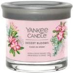 Przecenione Wielokolorowe Świece zapachowe z motywem kaktusów marki Yankee Candle 