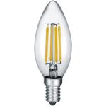 Żarówki LED przezroczyste w nowoczesnym stylu marki Trio - gwint żarówki: E14 