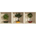 Zestaw 3 naklejek 3D Ambiance Bonsai Trees